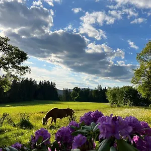 Ferienhaus Zopfhäusl